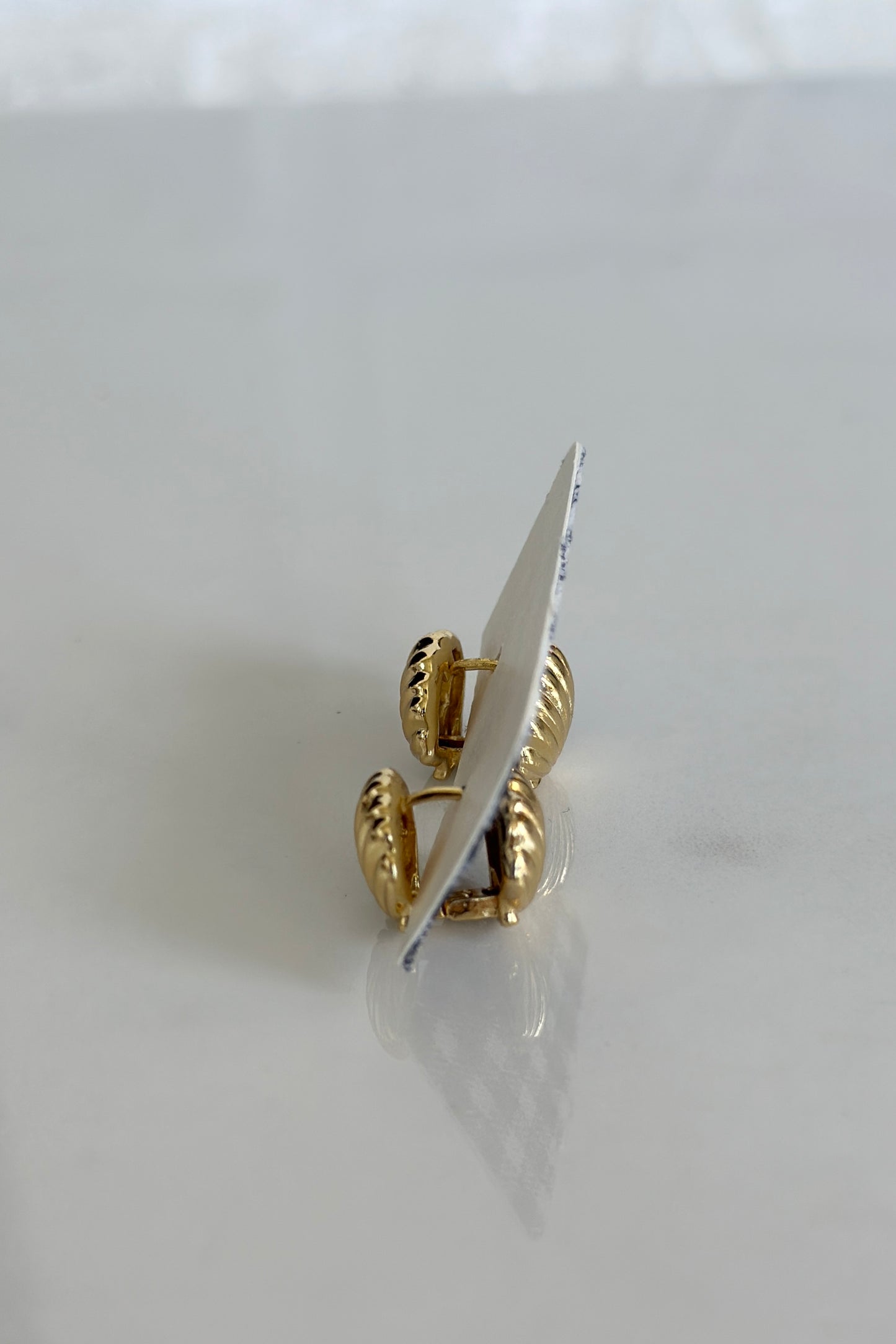 Golden Shell Huggie Earrings