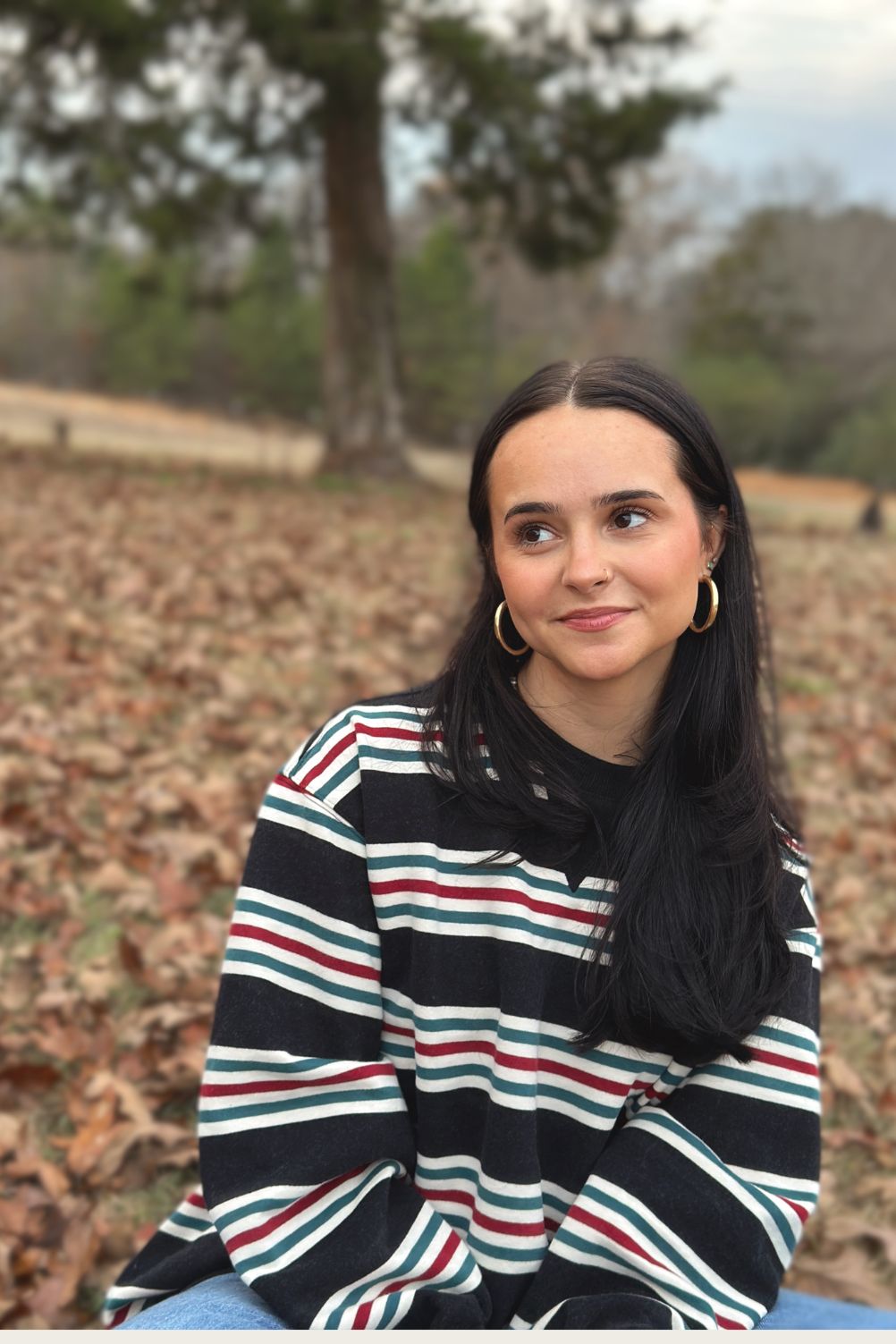 The Lillian Campstripe Sweatshirt