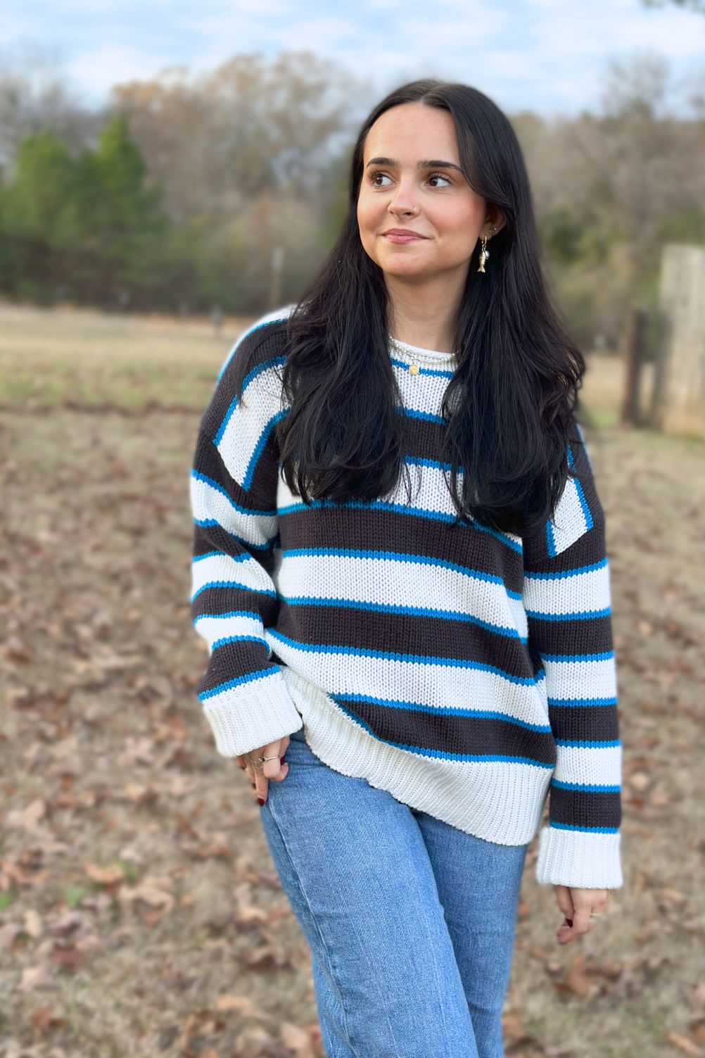 The Nora Stripe Sweater